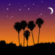 LitLinks:  How to shine a light on LIGHT with art and literature