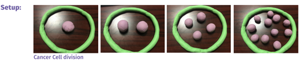 Cancer-cell-division