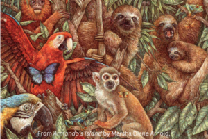 From-Armando’s-Islan-by-Marsha Diane Arnold-Illustrated-by-Anne-Yvonne-Gilbert