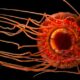 LitLinks: How to blend STEM and poetry about the deep ocean