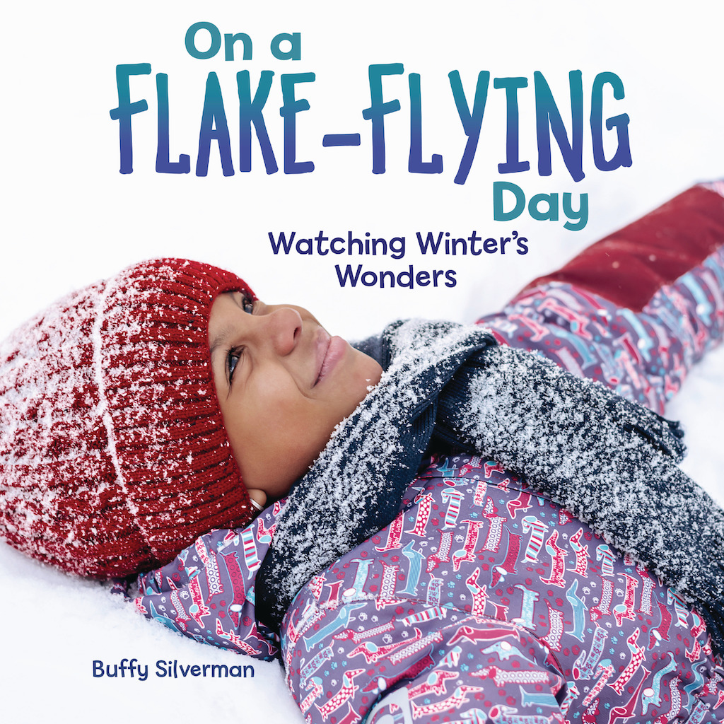 On-a-Flake-Flying-Day-cover
