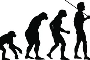 Evolution-image-point-of-view-lesson