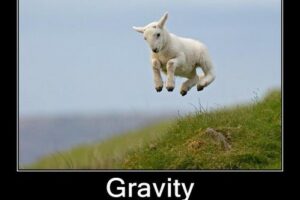floating-lamb-Gravity-just-a-theory