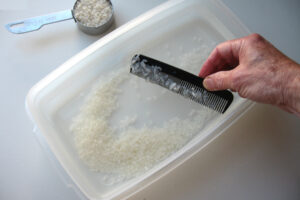 Krill-experiment-with-rice
