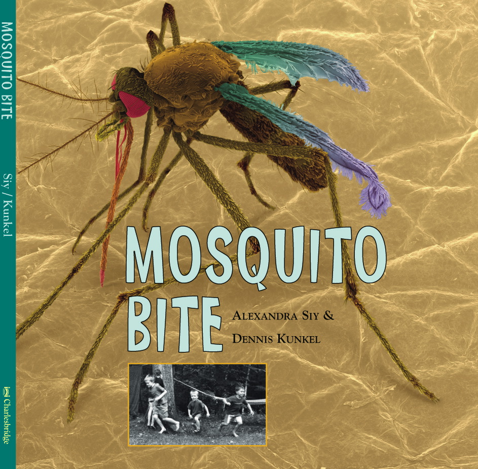Mosquito-Bite-cover