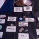LitLinks: Show students how to create a cabinet of curiosities
