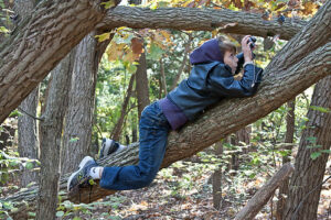 Paying-attention-to-nature