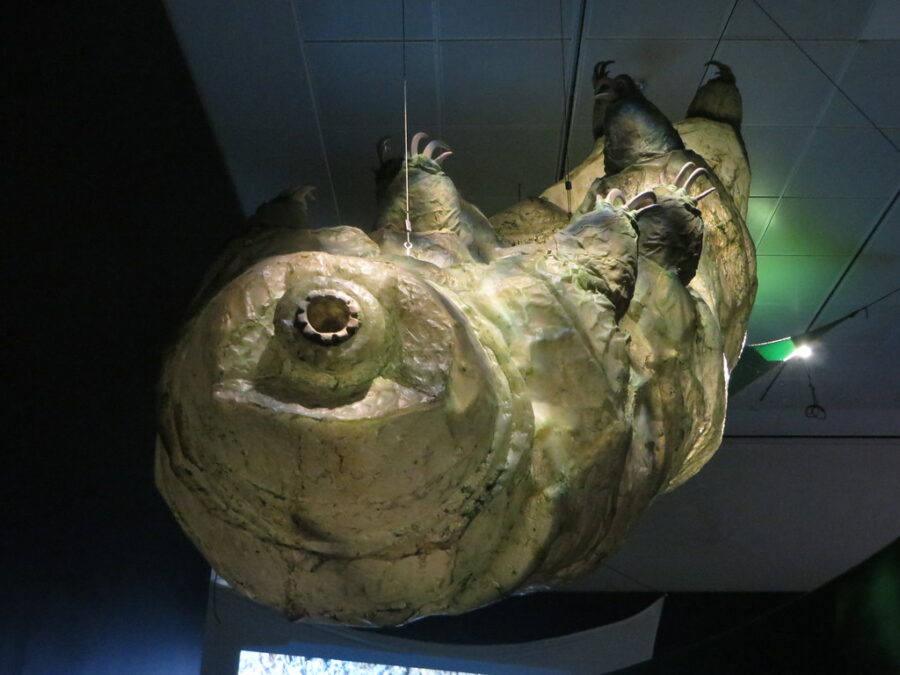 "Tardigrade"-by-edenpictures-is-licensed-under-CC-BY-2.0.
