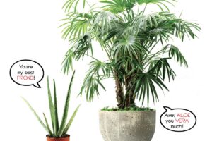 From-Huh?-Talking-Plants-by-Joyce-Markovics