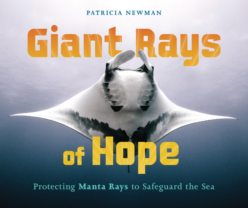 Giant-Rays-of-Hope-ocean-conservation